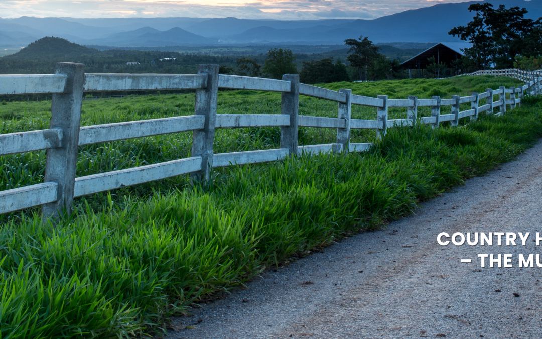 COUNTRY HOMES IN DELHI – THE MULTIPLE OF ‘X’